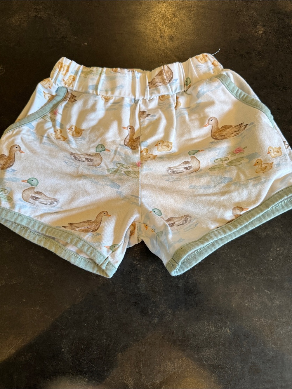 Cypress Row shorts with duck theme 2T